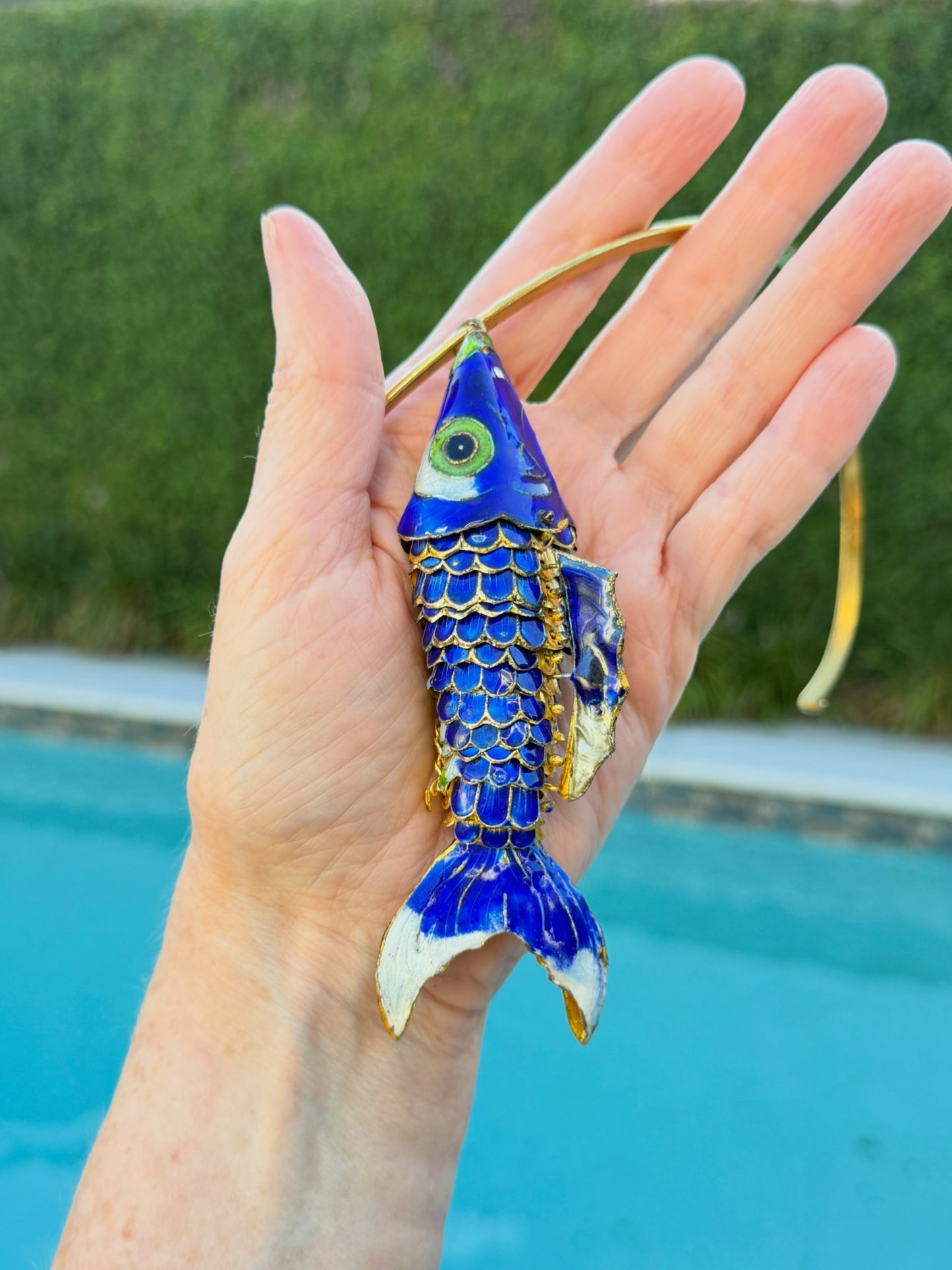 Enamel Fish